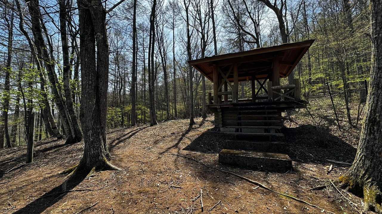 御前山 の写真 34