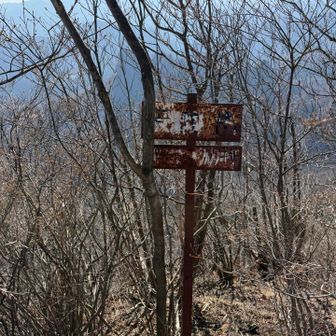 見えにくいですが天狗岳？