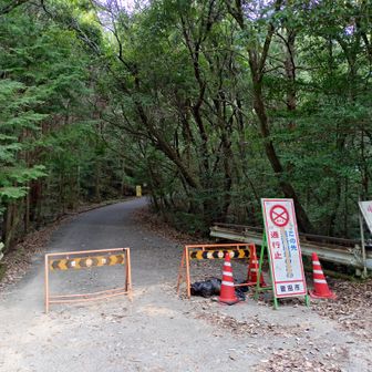 この先は車は入れないようです