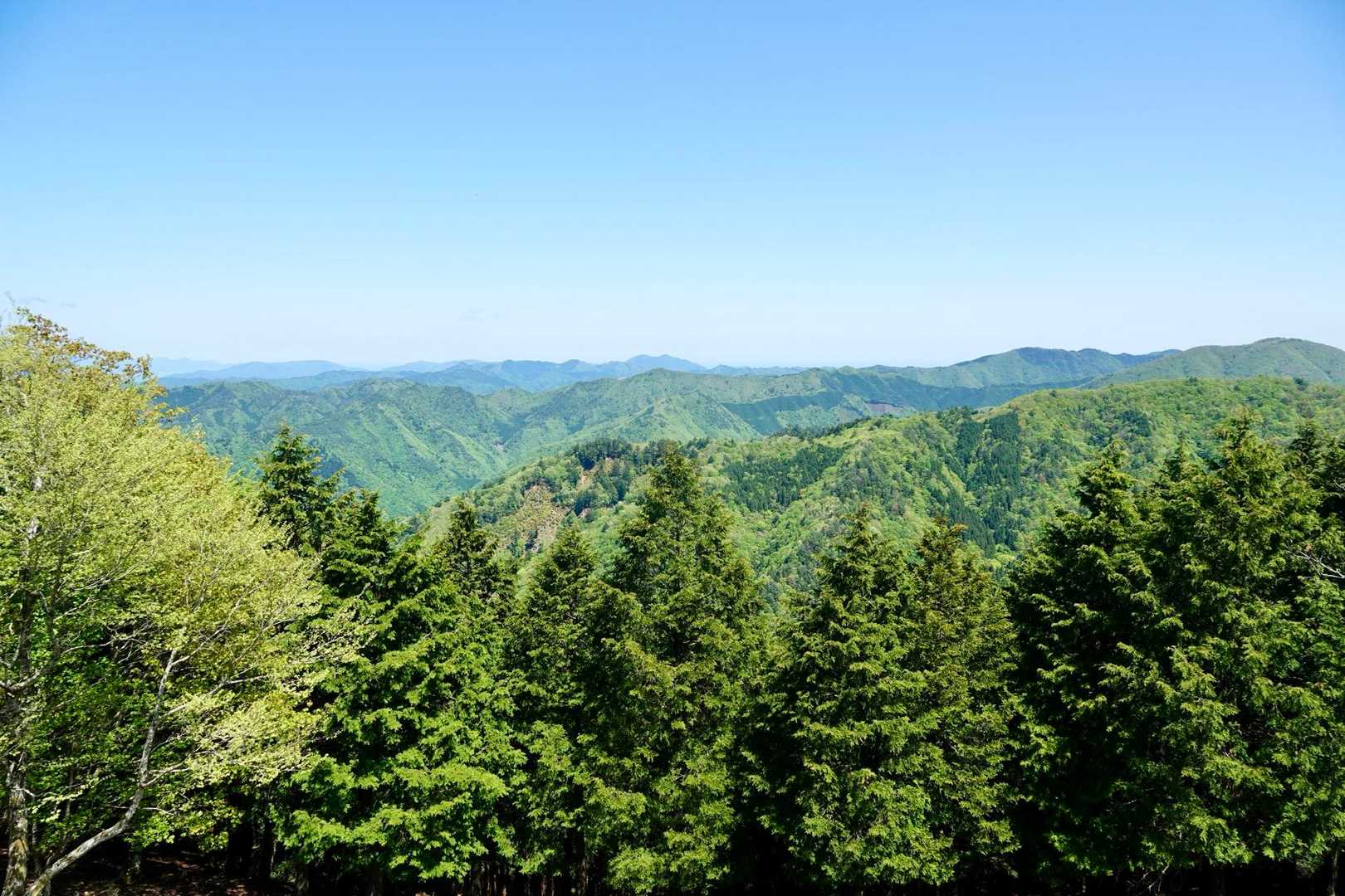 長老ヶ岳 周回コースの写真