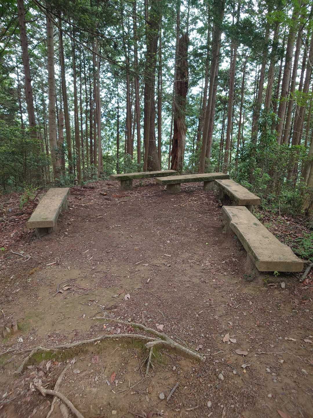 馬頭刈山よりベンチが多い