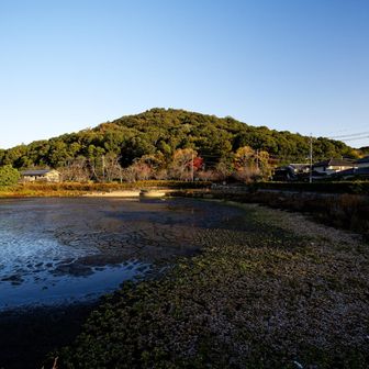 駐車場付近からの耳成山