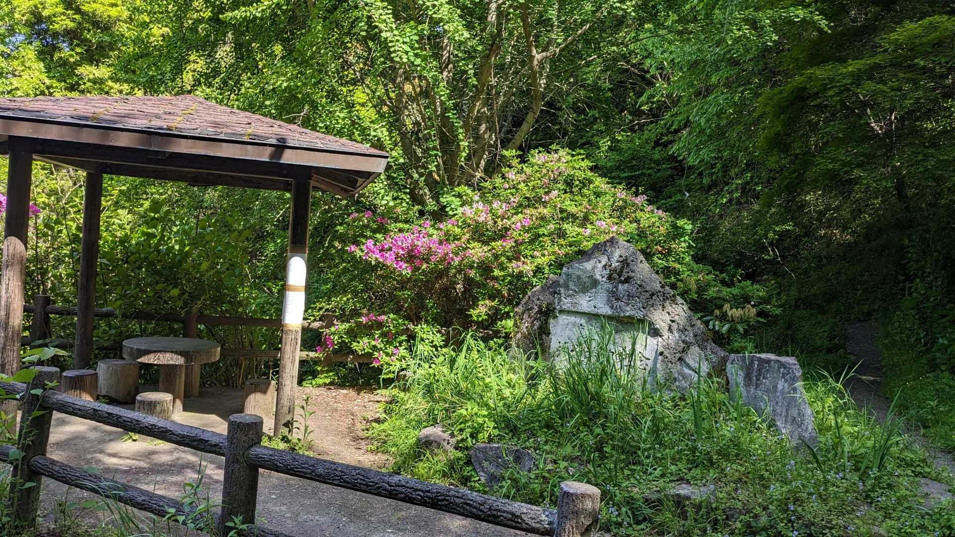 峠の登山口🚶。