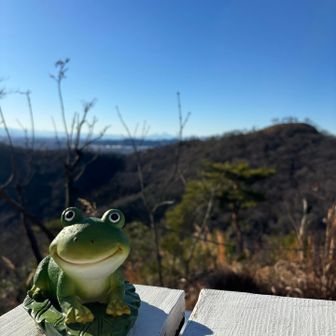 先客がいらっしゃいました✨😊