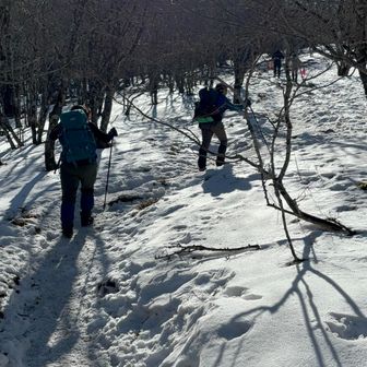 写真で見るより登りきつい😰