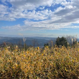 雲が増えて来た