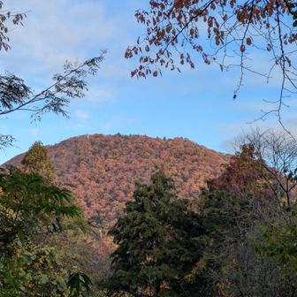 原岳からの眺望