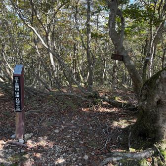 お昼にしよう