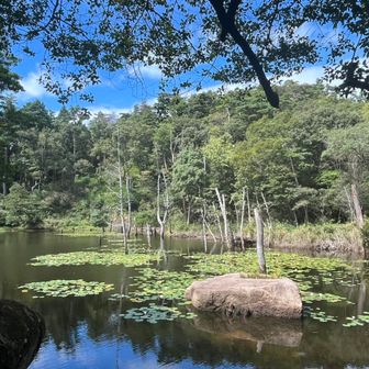 ネイチャータイム
