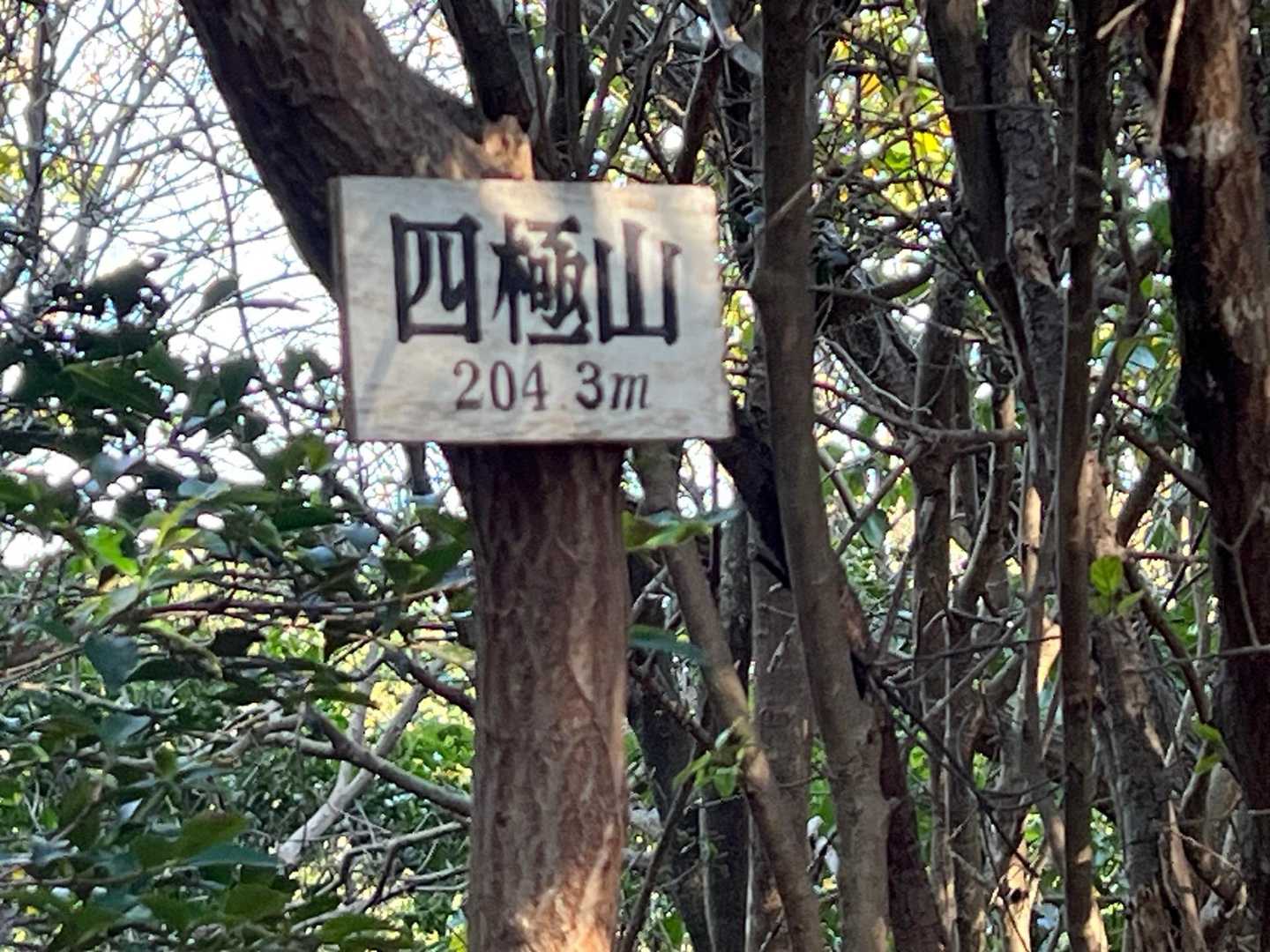 四極山⛰眺望なし😅