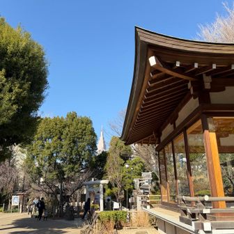 鳩森神社能楽殿からの代々木ドコモタワー