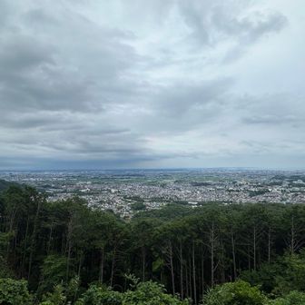 弘法山からの眺め。雲はあるけど江ノ島も見えるにゃ〜