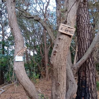 天神山の山名板