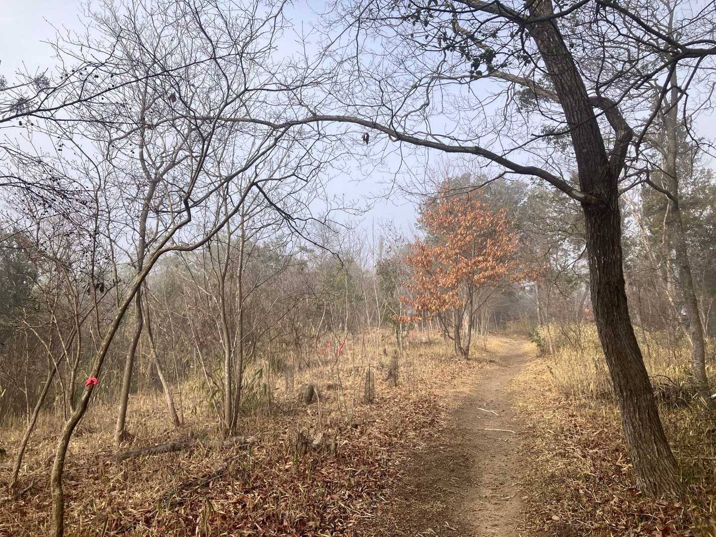 小野アルプス縦走コースの写真