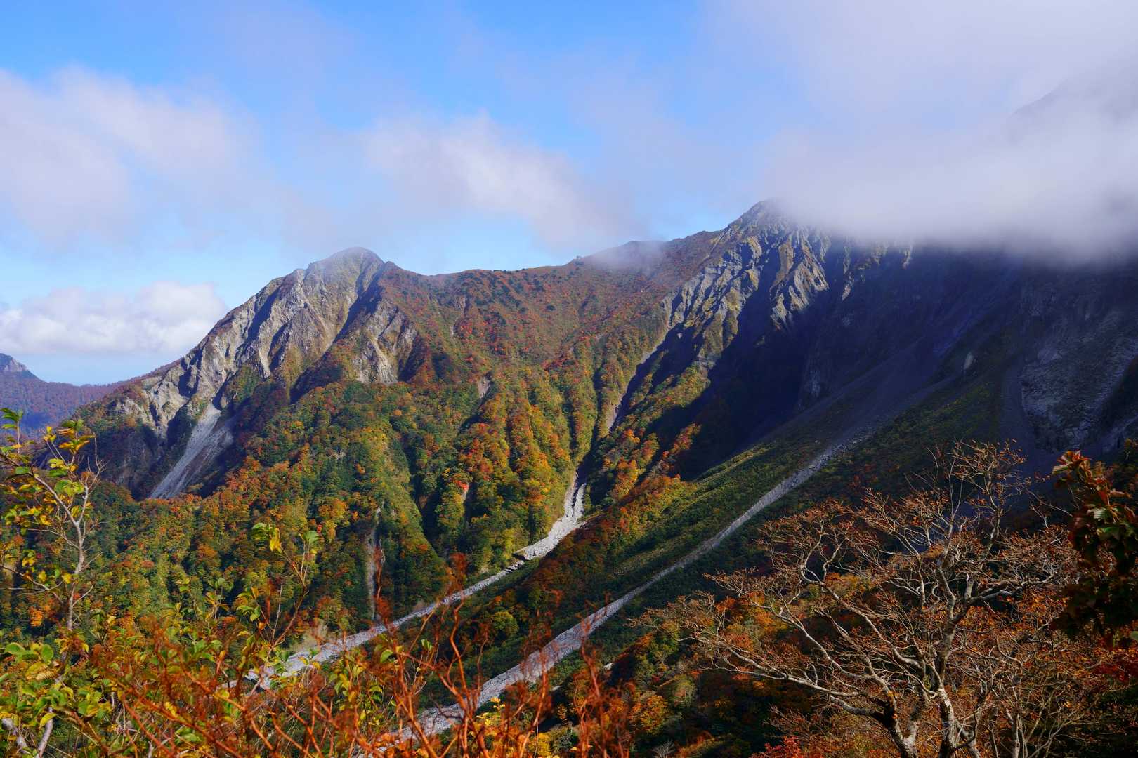 行者登山口-大山夏山登山口 周回コースの写真