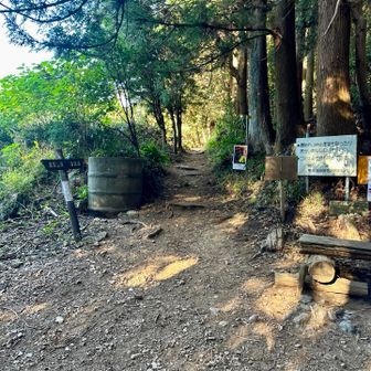 鞍掛峠到着
ライセンス更新試験の為、お山を断っていたリーダーは、無事試験が終わり､久しぶりの参加で､お疲れの様子でした。