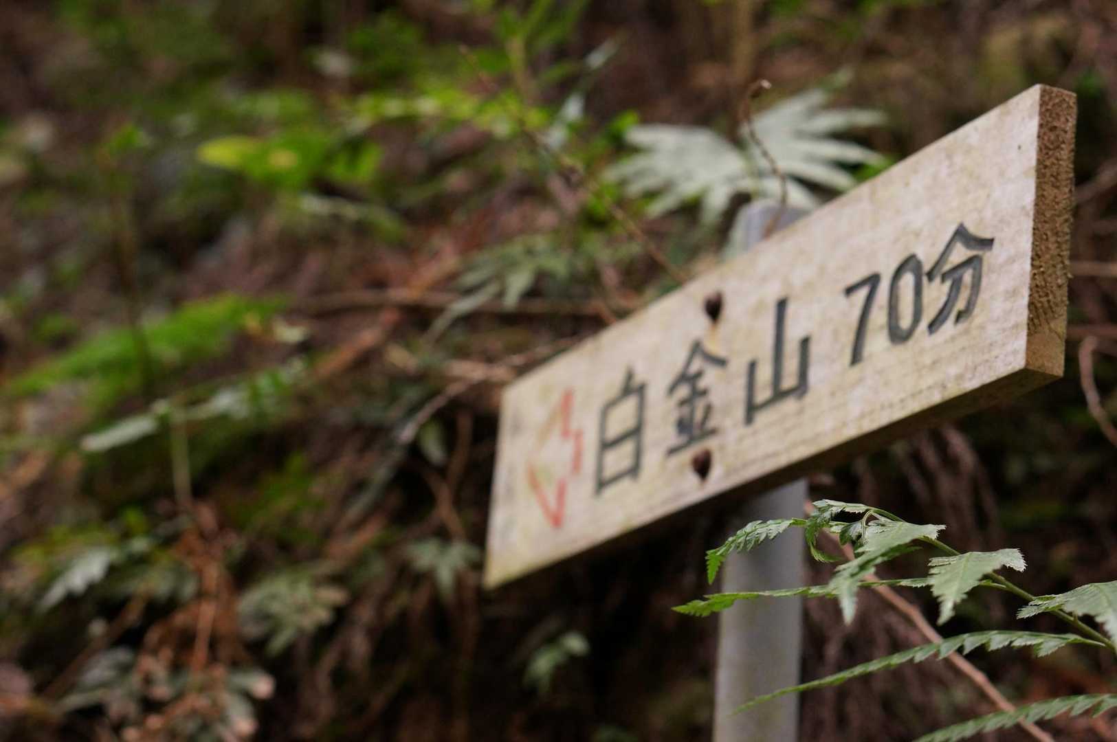序盤が急登ヒーヒー💦
まだ普賢岳の疲れが癒えてなく重たい😂