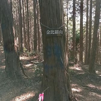 山頂はあっさりしていました