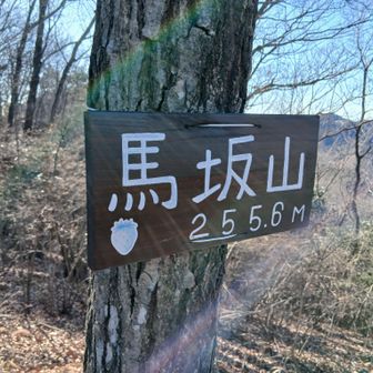 ③馬坂山