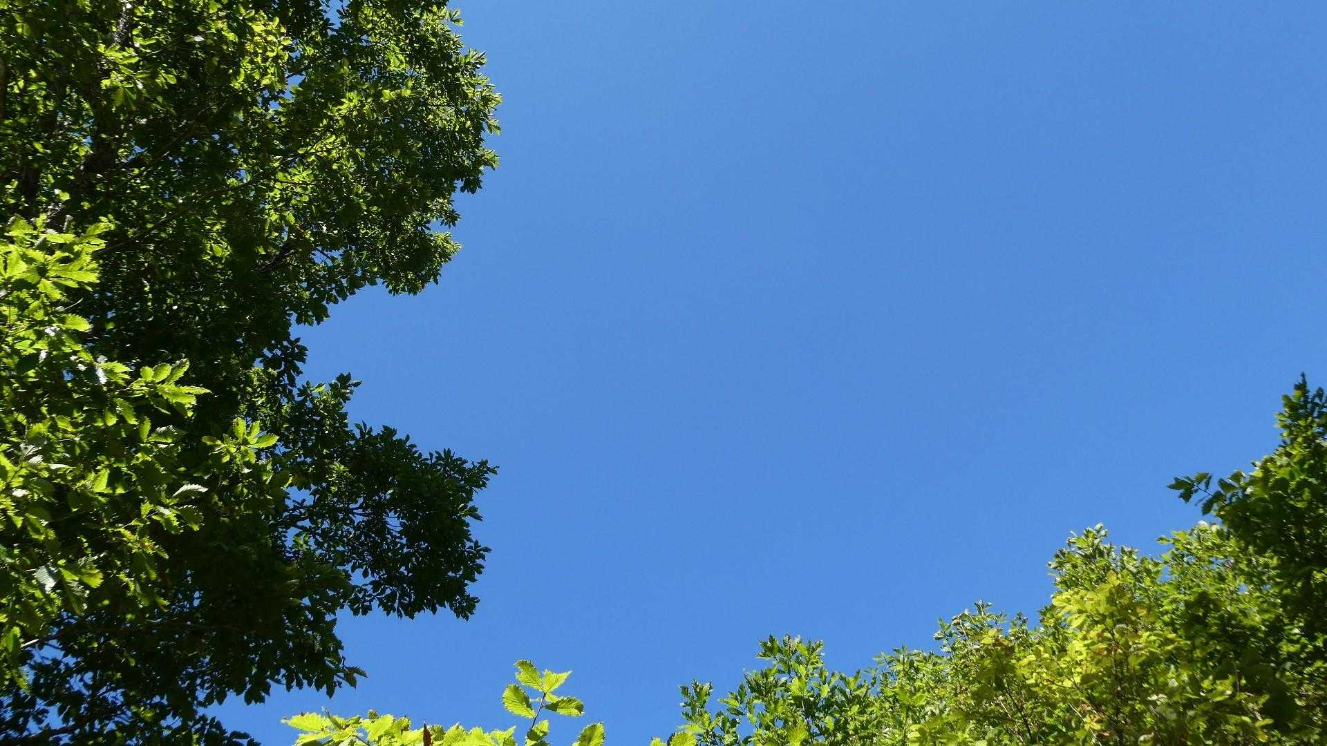 兎に角、最高の天気☀️
空が綺麗です☝️