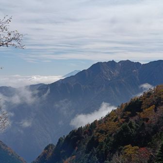 景色のいい山！
そういえば このルート、あんまり知られてないけどなんか ガサガサするなと思ったらリスがいる！
　　　　🐿️🌰🐿️
　　　　　🐿️🌰🐿️
　　　🐿️🌰🐿️
　　　　　🐿️🌰🐿️
　　　　　　🐿️🌰🐿️
