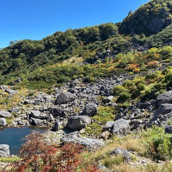 トムラウシ公園のような天狗原。