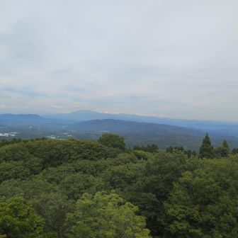 展望台からの眺望