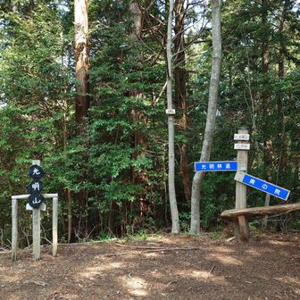 光明山登頂✨️