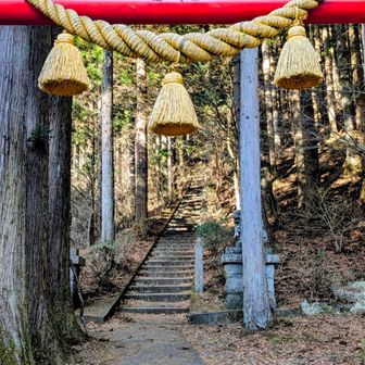 登り始め、いきなり400段ほどある石段…
しぬーーー🤢