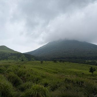 雲が下がってどんよりしてきた
今日は午後から雨予報☂️
