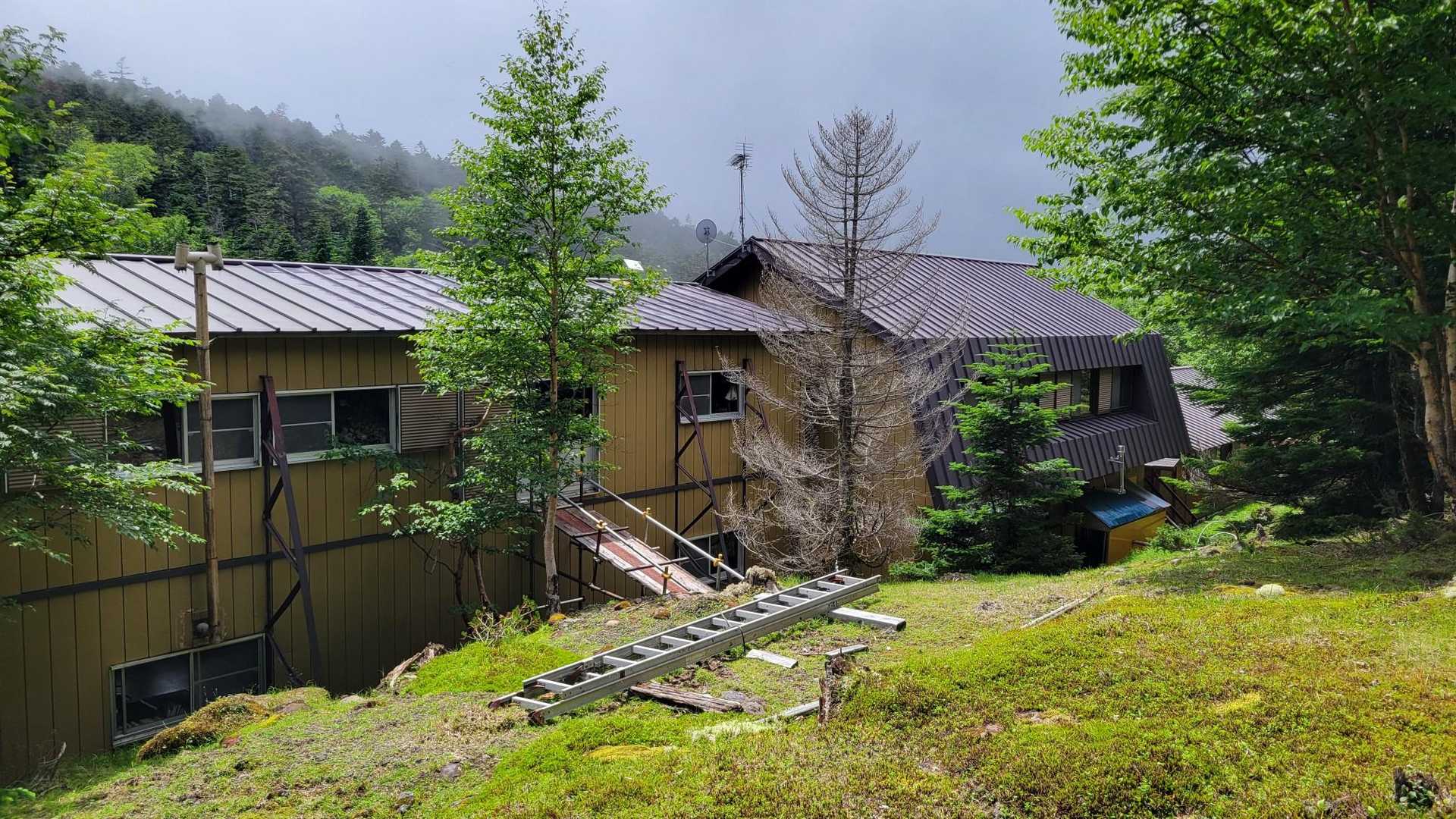 箕冠山 | コマクサ群落が見事な八ヶ岳の静かな峰。非対称山稜のなだらかな西麓からの写真