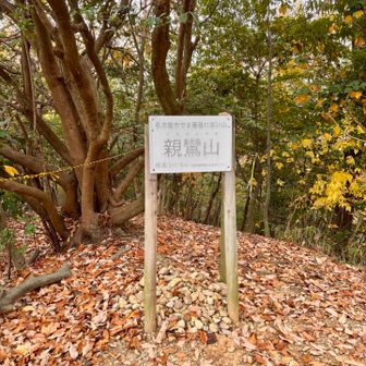 最後のピーク「親鸞山」
名古屋市で2番目に高いらしい
1番高い山は？