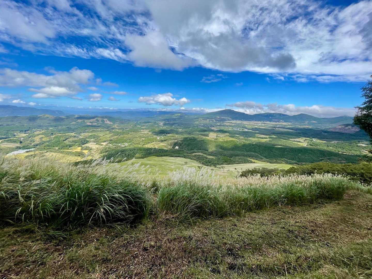 長者原登山口-泉水山 往復コースの写真