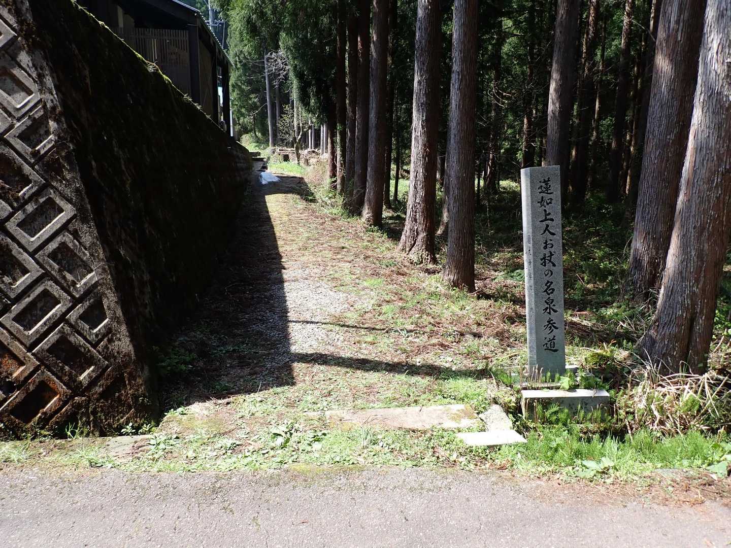 こっちへ入って行くようです