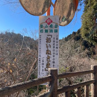 御岳山で難を逃れた伝説
御祭神の日本武尊（やまとたけるのみこと）が東征の際、深い妖霧に道を見失ったときに白狼が導いたことから「おいぬさま」信仰が始まり、愛犬の健康を願う「愛犬祈願」がいまは人間よりも多い、と神職から聞きました😊