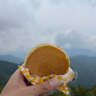 頂上でちょっとおやつタイム
なかなか登りごたえがあったけど片道5キロ弱ならまだ登りやすい方かな(*´ー｀*)