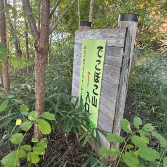 グレーピーク10
でこぼこ山54m
駐車場なし、歩道際に停車
入り口表示あり
山頂標識不明、三角点不明
