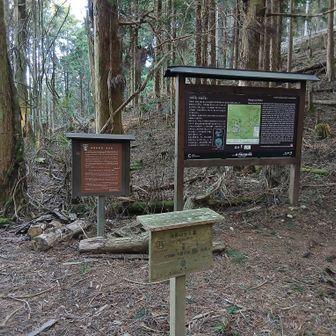 粉鐘峠
この辺りまでは沢沿いの気持ちよい道のりです