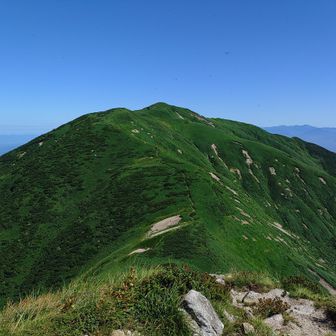 鉾立峰から朳差岳を見るとカッコいいんだけど、まただいぶ下って激しく登り返すのか