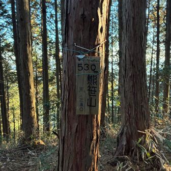 巻道を歩いてしまって、ピークをゲットするために登り返した熊笹山。