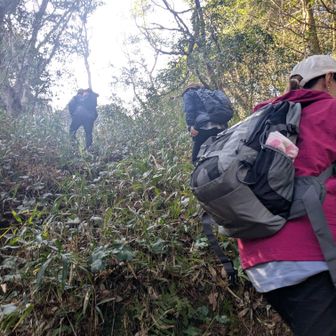 めちゃくちゃ急登スタート
