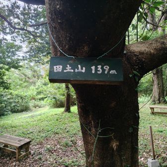 途中でよった田土山 、途中に倒木で道が塞がれてますが迂回した。胸の高さの藪漕ぎもあり。
