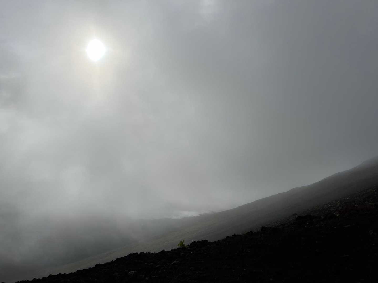 飛ばされそうなくらいの風と
顔に当たる雨が痛いけど、
太陽も頑張ってくれてる☀️