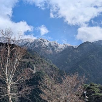 上を見上げると西赤石の北斜面は霧氷がビッシリでした
