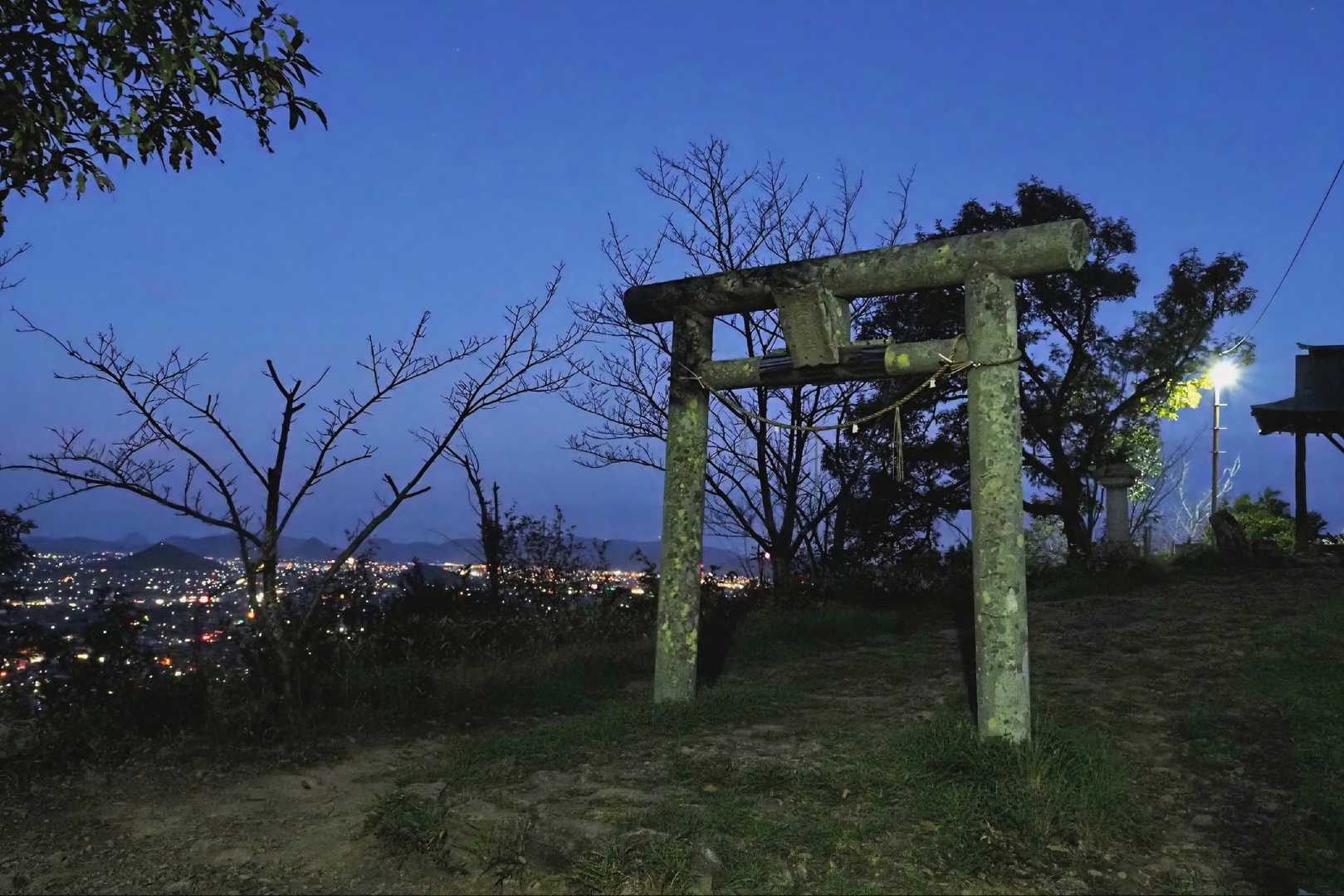 夜活している様な未だ暗い山頂