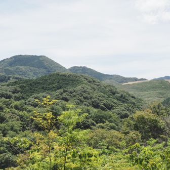 屯鶴峯ピークからの眺め👀

あの奥にある2つモコモコっとしている山が二上山です