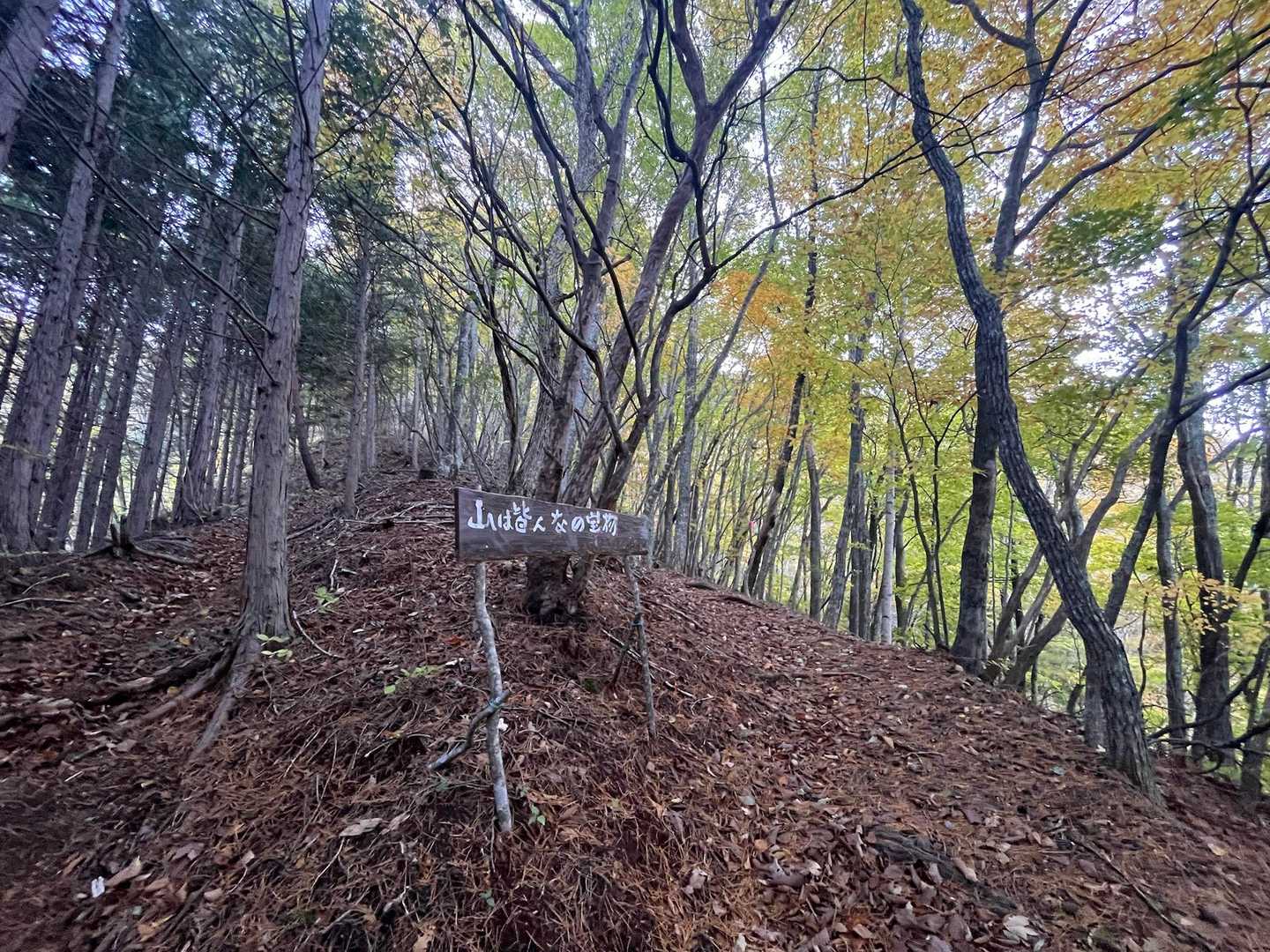 〝山は皆んなの宝物〟☺️
