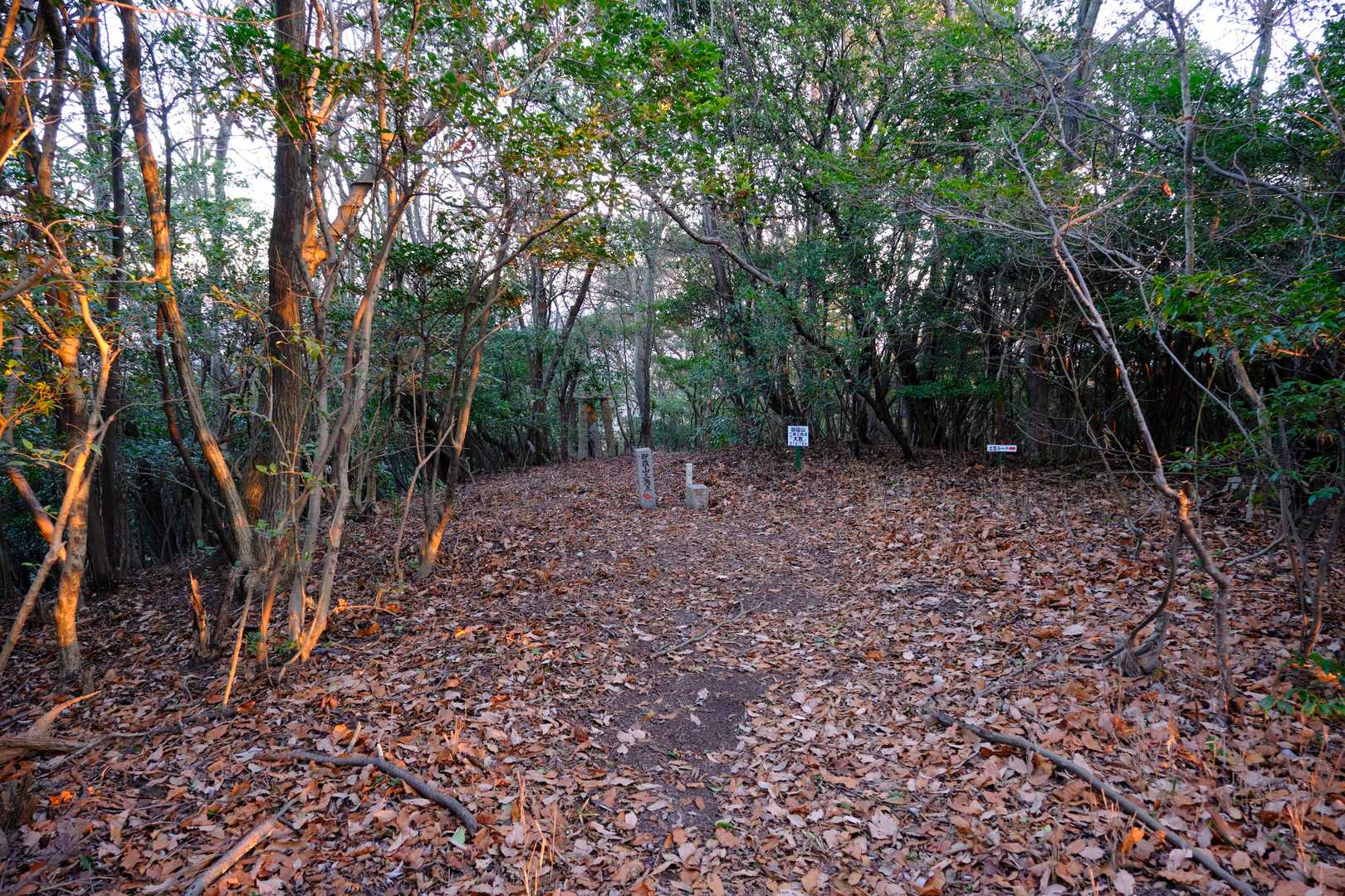 ちなみに本峰の三角点は山頂広場とは別の地点に置かれているため、初日の出を見届けた後そちらにも足を運ぶこととした。
山頂広場から同所までは歩いて５分とかからないが、そちらまで到達しなければYAMAPにおいては登頂としてカウントされない模様である。