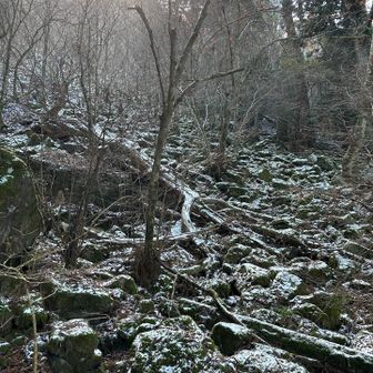 少し雪が残ってました。
