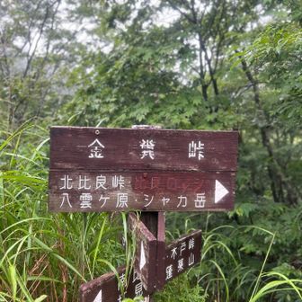 ここで最初の道迷い😛蜘蛛の巣が多かったので気づけた